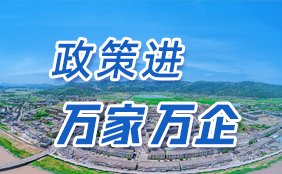政策進萬家萬企